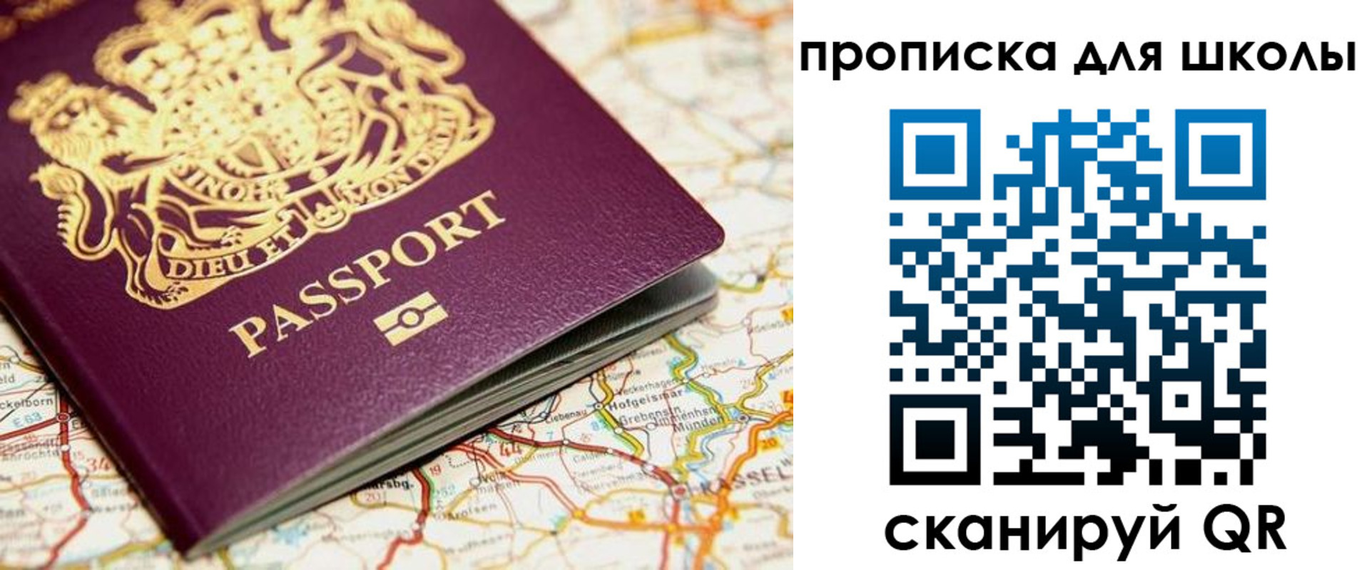 прописка гарантия в Волосово